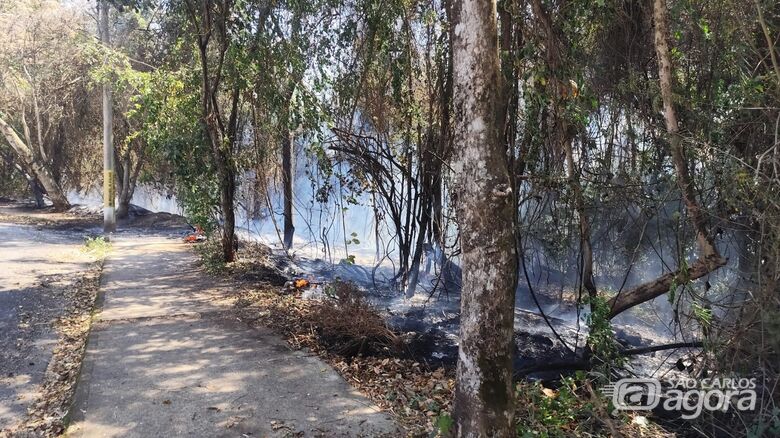 Incêndio consome mata na região do bairro Santa Marta  - Crédito: Maycon Maximino 
