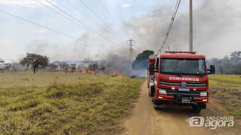 Bombeiros combatem incêndio em mata próximo da Washington Luís  - Crédito: Maycon Maximino
