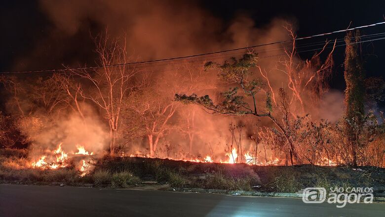 Incêndio em mata assusta moradores no bairro Ipê Mirim  - Crédito: WhatsApp SCA