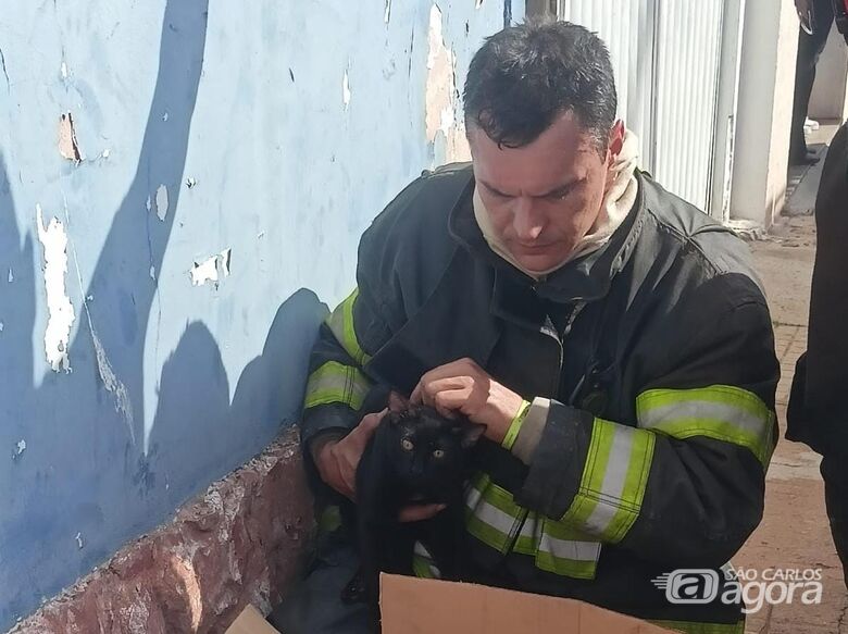 Bombeiro após realizar gato - Crédito: Maycon Maximino 