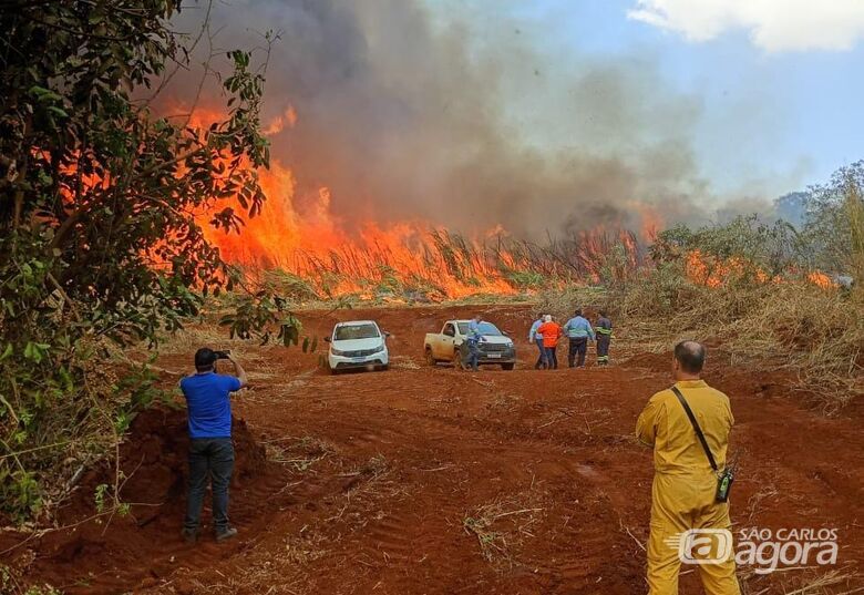 Incêndio de grandes proporções atinge canavial na região de Santa Eudóxia - Crédito: Whatsapp SCA