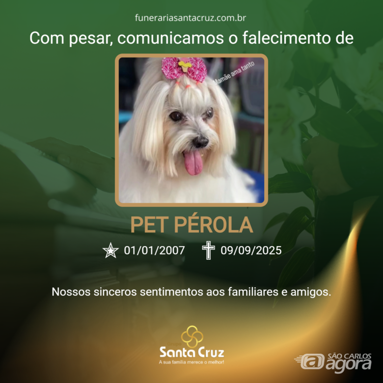 Homenagem do Grupo Santa Cruz aos pets Pérola, Petra e Laika - 