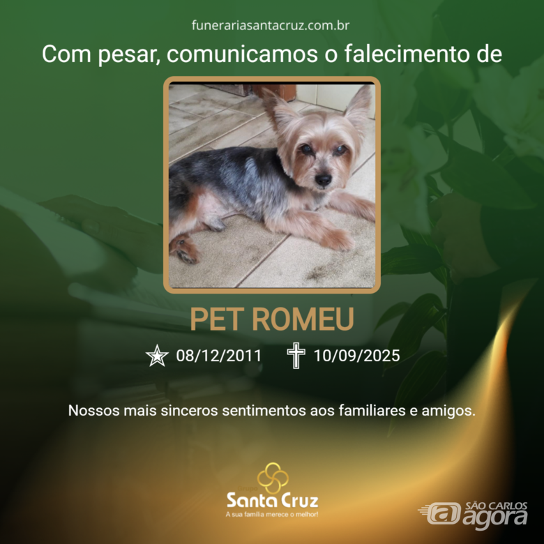 Homenagem do Grupo Santa Cruz ao pet Romeu - 
