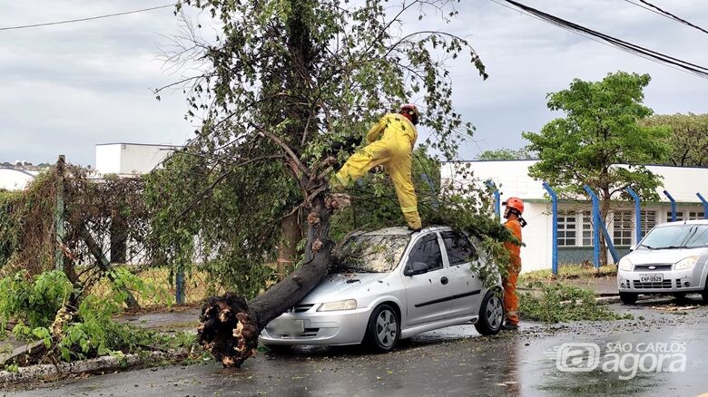 Árvore cai sobre carro na avenida José Pereira Lopes  - Crédito: Maycon Maximino