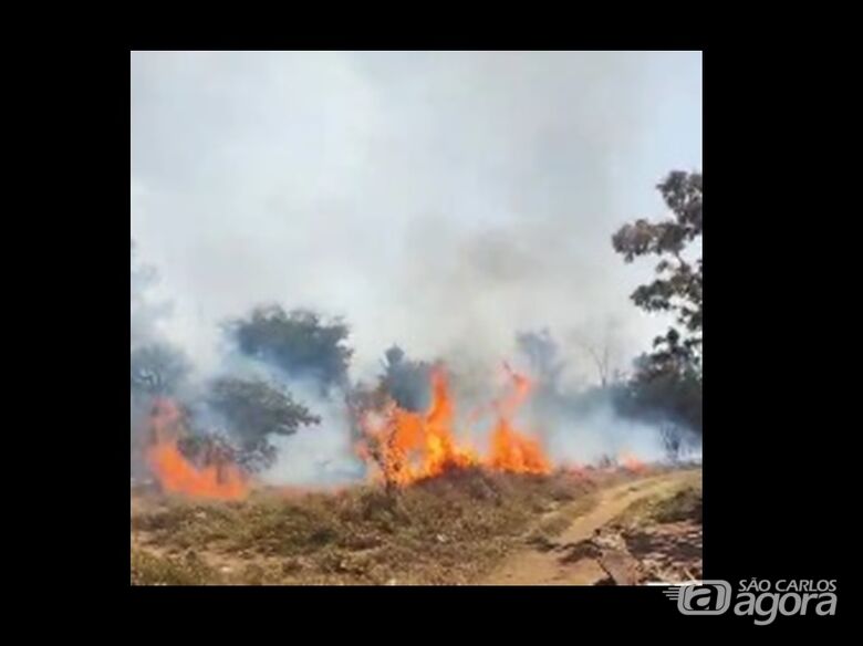 Fogo atinge área de mata no bairro Eduardo Abdelnur -