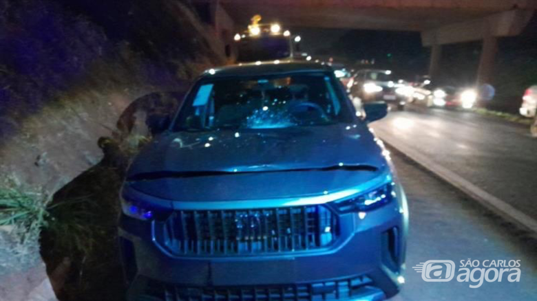 Andarilho morre atropelado por carro na Washington Luís  - Crédito: CCI Artesp