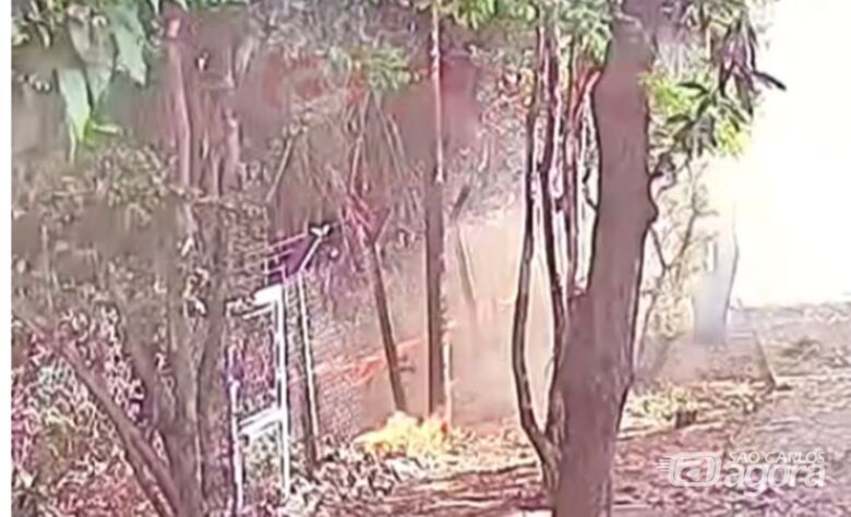 Dentista acusado de provocar incêndio em mata é transferido para presídio da região - Crédito: reprodução