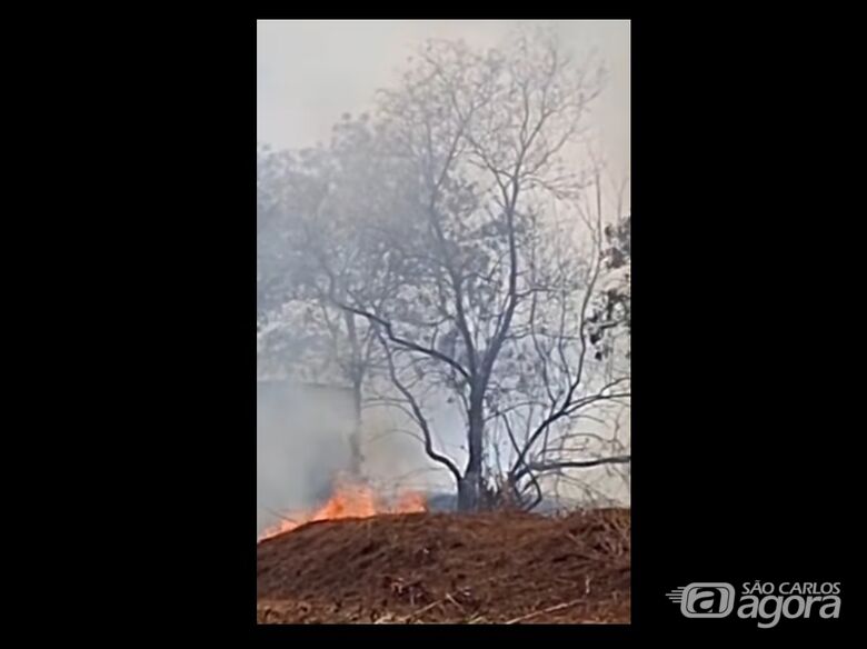 Incêndio atinge área próxima a ecoponto no Jardim Medeiros -