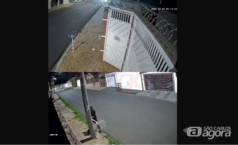 Homem é flagrado por câmera danificando lixeira na Vila Nery -