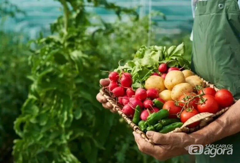 Speed Agro inicia nova fase para acelerar Agtechs na região de São Carlos -