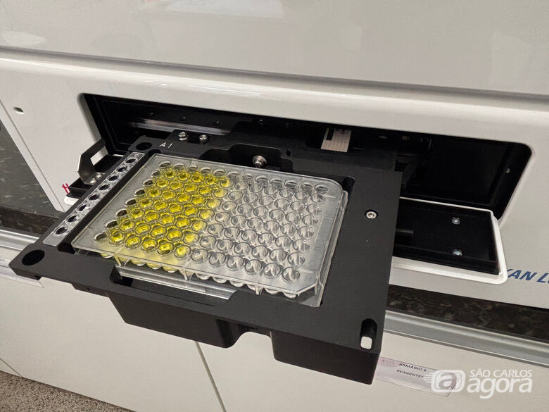 Teste é pouco invasivo e simples de aplicar (Foto: Adriana Arruda) - Crédito: Adriana Arruda