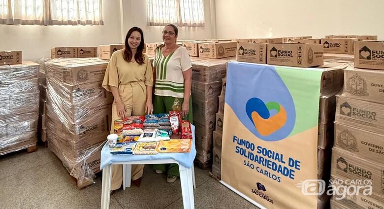 Fundo de Solidariedade recebe mais de mil cestas básicas do governo do Estado -