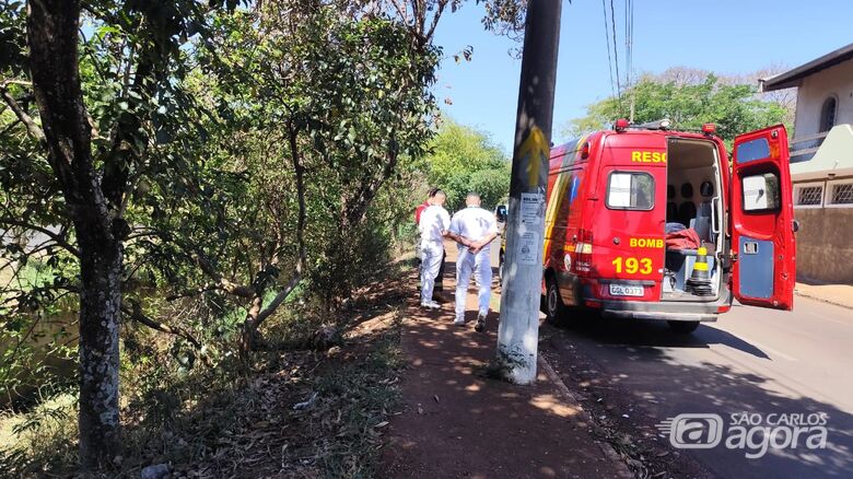 Ciclista fica ferido após ficar sem freio e colidir contra árvore no Jardim Brasil - Crédito: Maycon Maximino