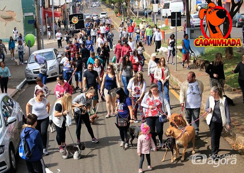 12ª edição da Cãominhada acontece neste domingo na rua Larga - 