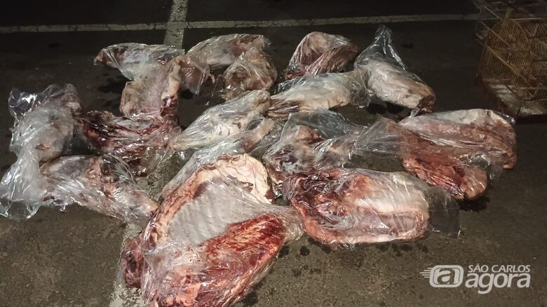 GCM apreende carne de javali e pássaros silvestres durante abordagem em São Carlos - 