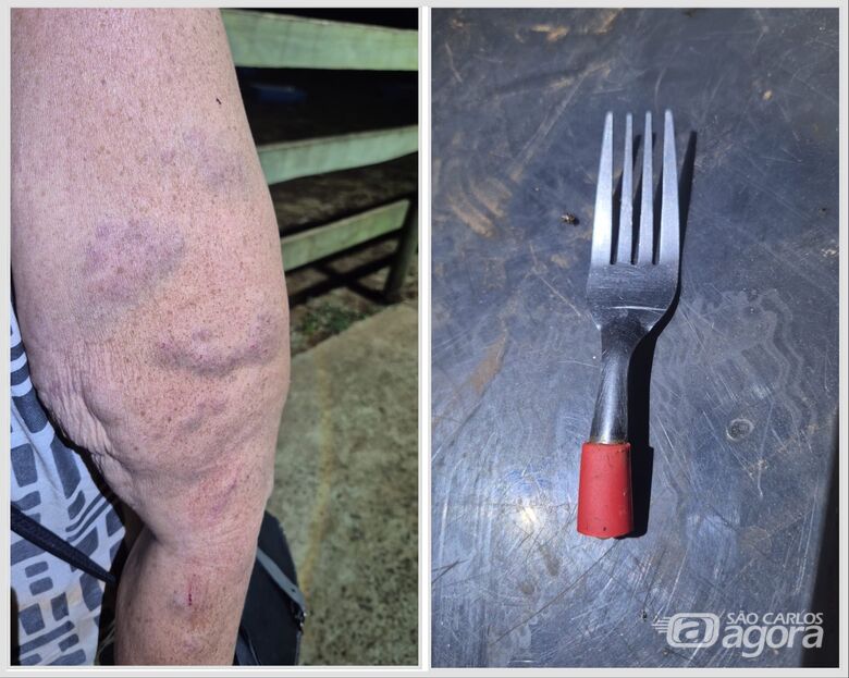 Homem é preso após agredir a companheira e a enteada na área rural  - 