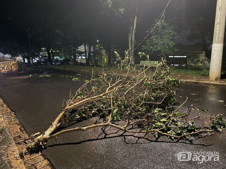 Árvore caí e interdita rua no Jardim Paulista - Crédito: Lourival Izaque 