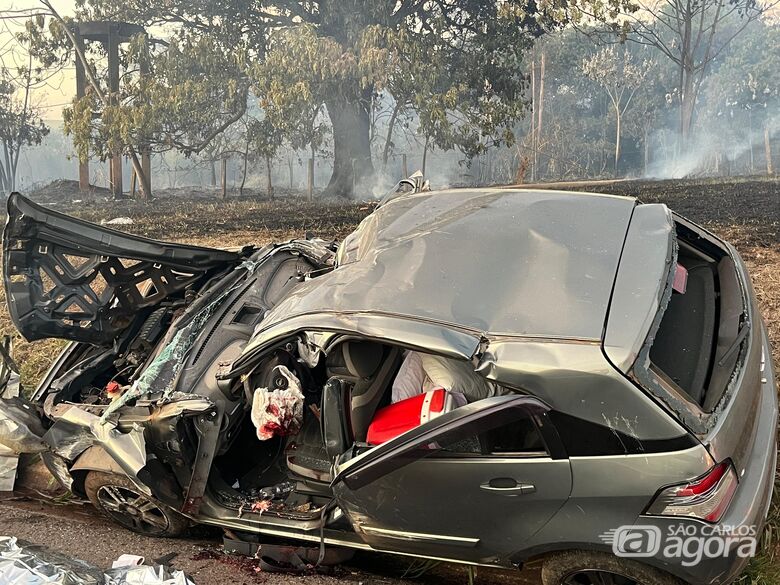 Motorista morre após árvore cair sobre veículo na Washington Luís  - Crédito: Flavio Fernandes 