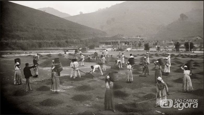 Escravos afrodescendentes construíram Ciclo do Café
 - Crédito: Divulgação