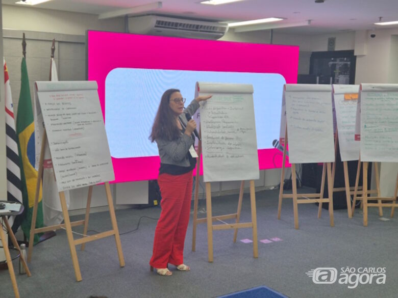 Desde 2019, Kamila é coordenadora de várias iniciativas no ICMC voltadas à inserção digital para pessoas 60+ - Crédito: Arquivo pessoal