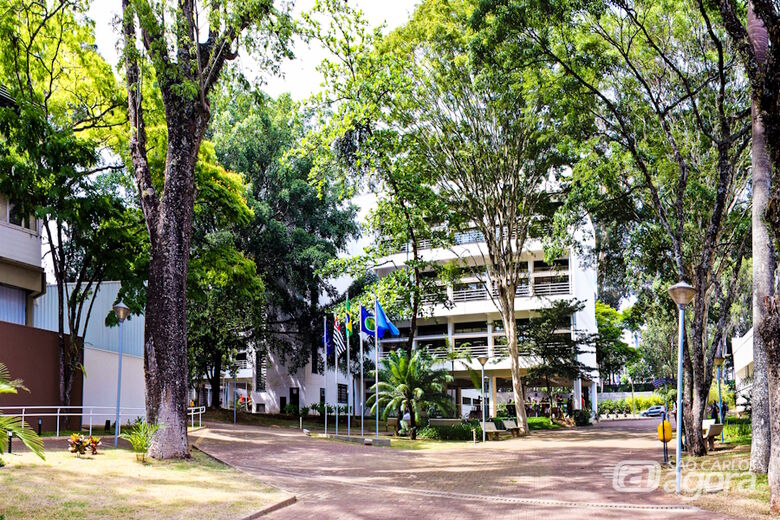 Distantes apenas 4 km, USP e UFSCar unem excelência acadêmica e inovação científica no PIPGEs promovendo integração entre alunos e docentes por meio de seminários e workshops - Crédito: Reprodução site PIPGEs