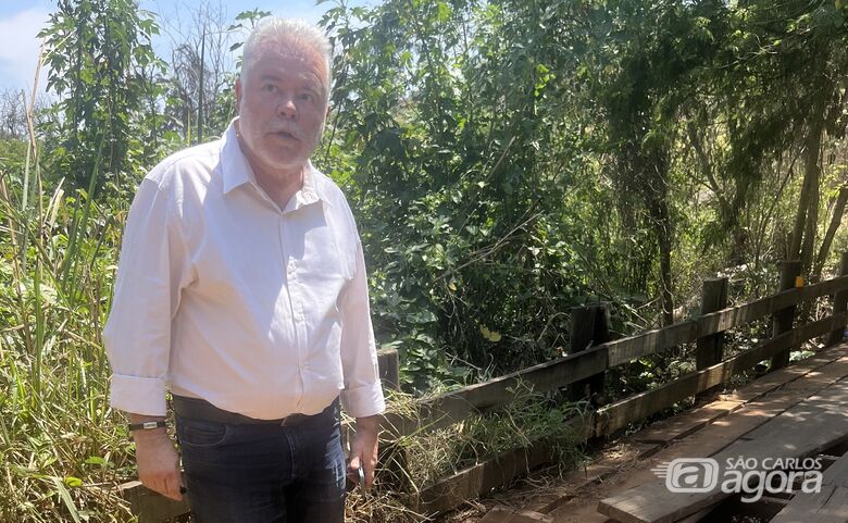  "Passarela oferece risco aos moradores", afirma Lineu - Crédito: divulgação