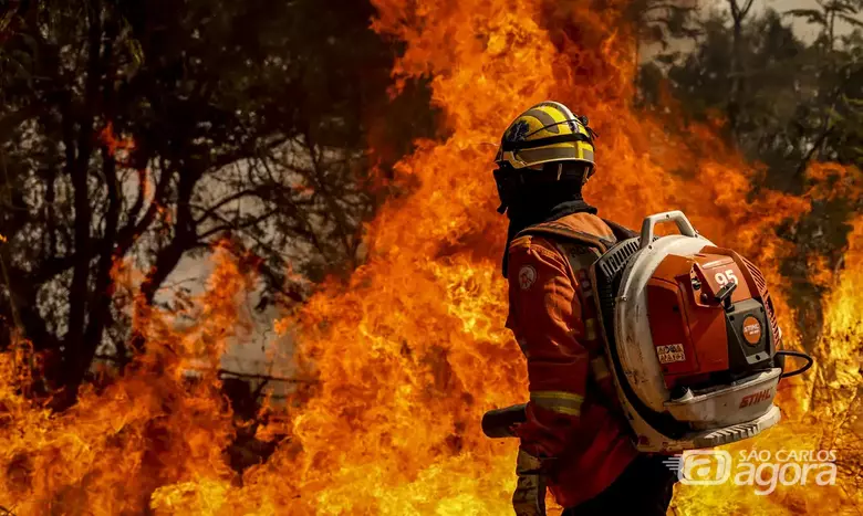 O perigo do fogo: no período de 2020 a 2024, ocorreram 7,7 mil mortes anuais associadas à fumaça dos incêndios florestais. - Crédito: Agência Brasil 