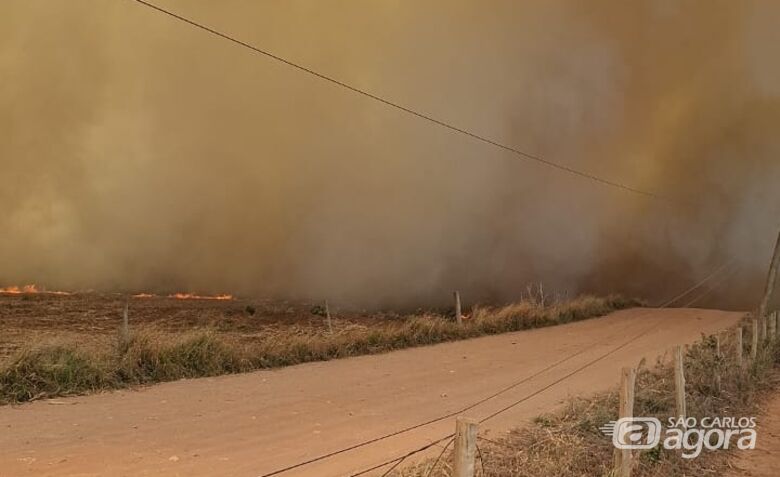 Chamas se alastram rapidamente - Crédito: Whatsapp SCA