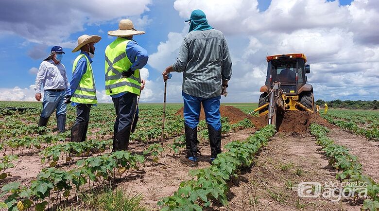 Pesquisa desenvolve método que usa laser e inteligência artificial para estimar, em uma única análise, a densidade do solo e o teor de carbono. Na foto acima, coleta de amostras deformadas - 