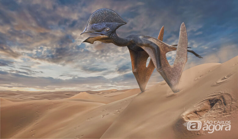 Reconstrução de pterossauro (Paleoarte de Hugo Cafasso) - 