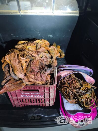 Dupla é presa por furto de fios de cobre no Planalto Serra Verde - 