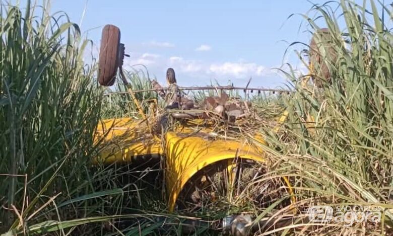 Piloto morre em queda de avião agrícola  - Crédito: Redes Sociais 