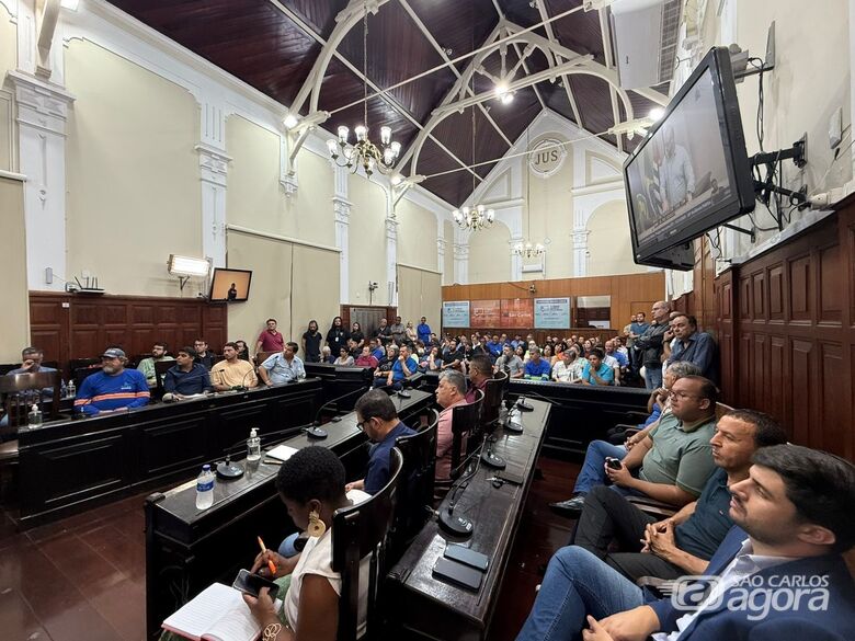 Audiência pública foi realizada nesta quinta-feira na Câmara Municipal  - Crédito: Divulgação 