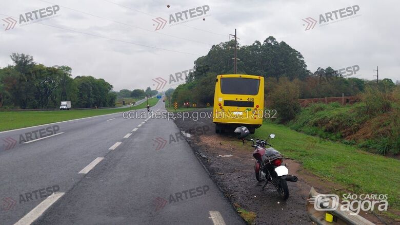 Ônibus atropela cavalo na Rodovia Anhanguera, em Leme - Crédito: Artesp