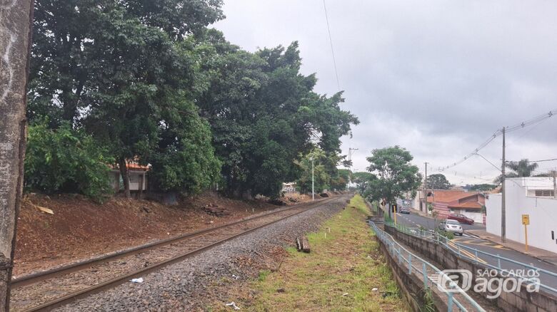 Rumo reivindicou a supressão de 49 árvores e Prefeitura autorizou 23, mas mesmo assim a população da região está inconformada com a decisão - Crédito: divulgação