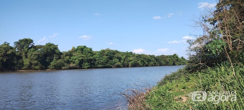 Polícia Ambiental realiza Operação Pré-Piracema, faz apreensões e aplica multas na região de Pirassununga - Crédito: Divulgação