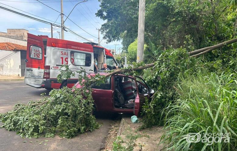 Desgovernado, carro atinge árvore após pane nos freios e duas pessoas ficam feridas - Crédito: Maycon Maximino