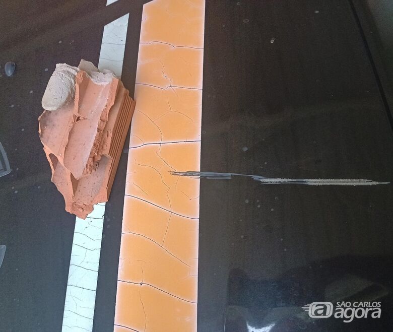 Homem é preso após danificar viatura da Guarda Municipal  - Crédito: Maycon Maximino 