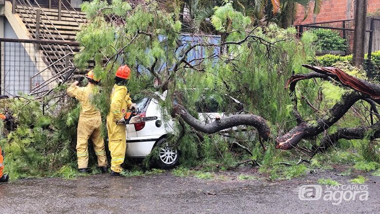 Árvore cai sobre veículo no Parque Delta após forte chuva - Crédito: Maycon Maximiano 