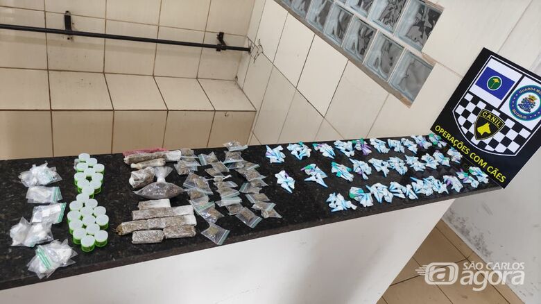 Canil da Guarda Municipal localiza grande quantidade de drogas no São Carlos V - Crédito: Maycon Maximino