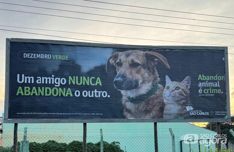 Dezembro Verde 2025 reforça conscientização contra o abandono de animais na cidade - 