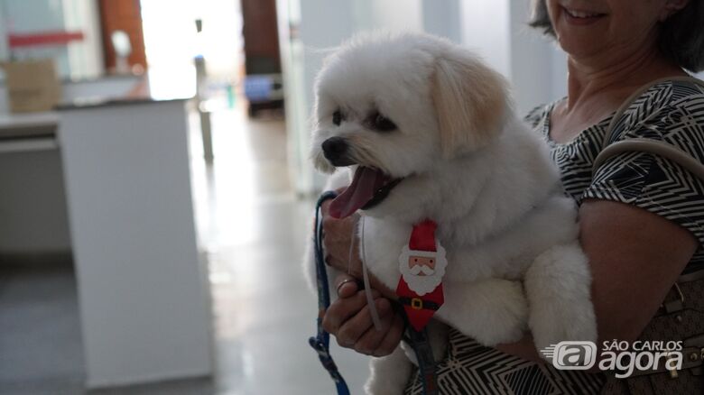 Paciente internado há longo período recebe visita de animal de estimação na Santa Casa - Crédito: divulgação