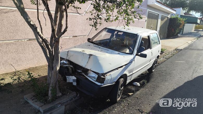 Motorista se distrai com cachorro e colide carro contra árvores no bairro Boa Vista - 