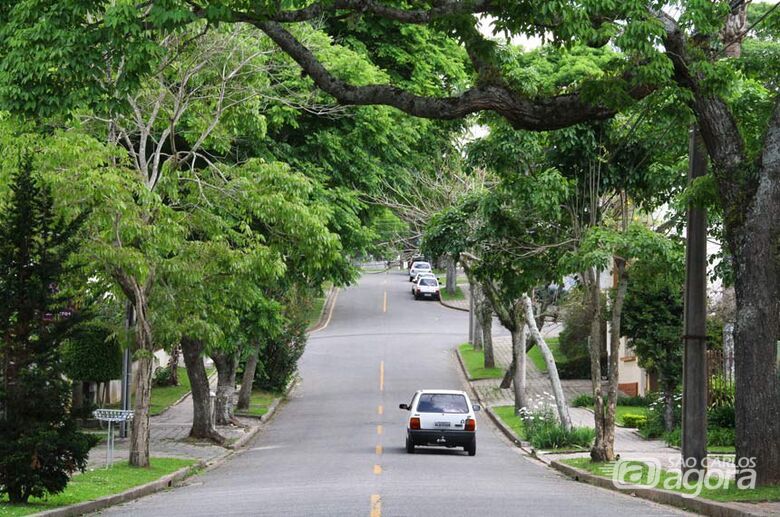 Órgãos ambientais terão prazo para responder a requerimentos de poda ou corte de árvore por risco de acidentes   Fonte: Agência Senado - Crédito: Jaelson Lucas/SMCS   Fonte: Agência Senado