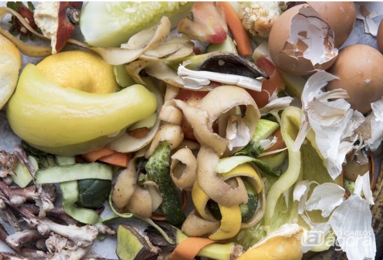 Projeto usa resíduos para impulsionar transição energética na UFSCar -