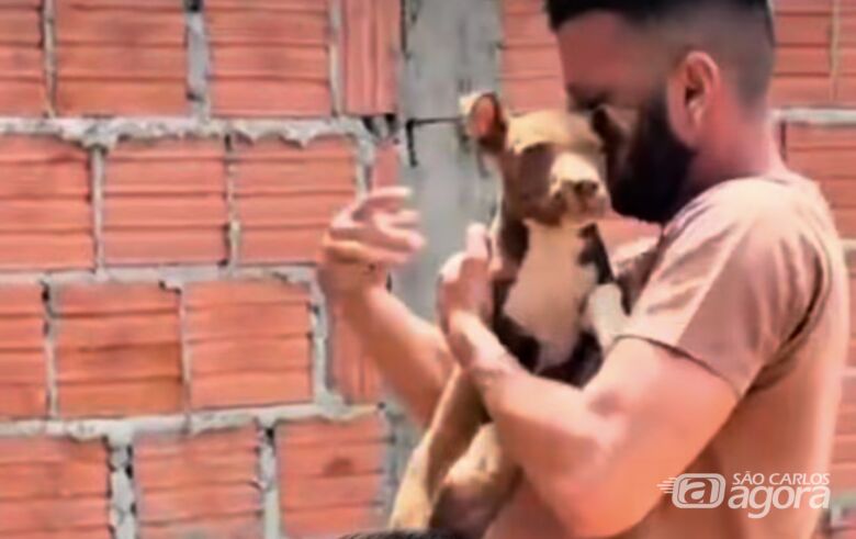 Cachorra vítima de espancamento é adotada durante feira no Canil Municipal -