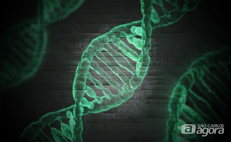 UFSCar abre inscrições para mestrado em Genética Evolutiva e Biologia Molecular com ingresso em 2026 -