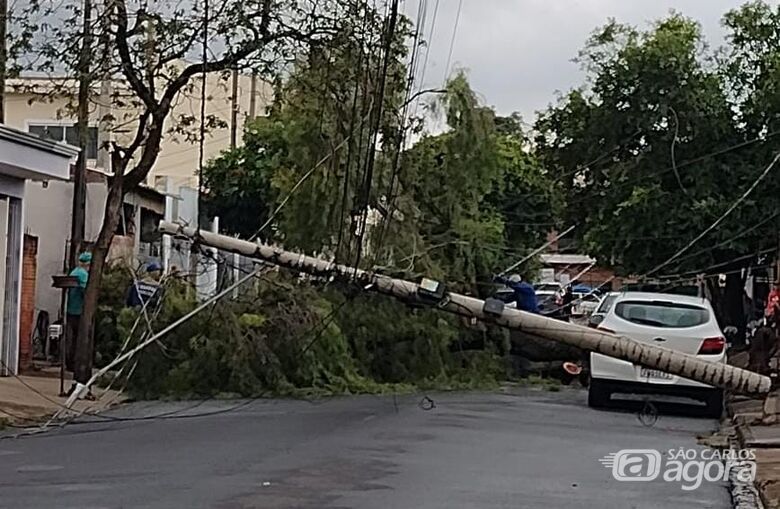 Chuva derruba árvore de grande porte e causa queda de dois postes no Presidente Collor - Crédito: Foto: Maycon Maximino/São Carlos Agora