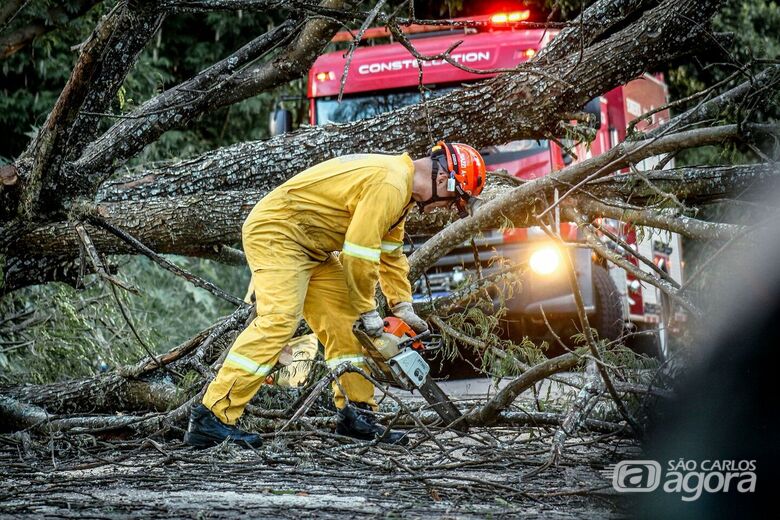 Árvore caí sobre carro no Nova Santa Paula - Crédito: Lourival Izaque 