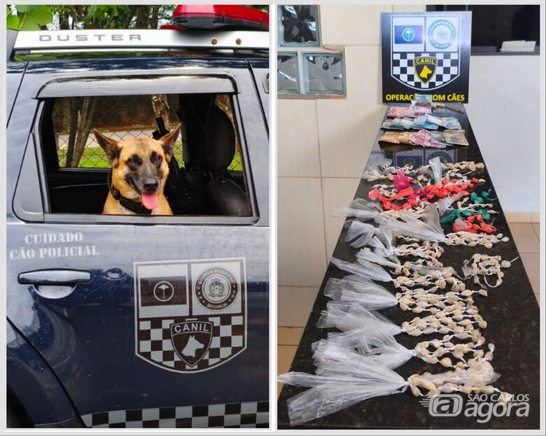 Homem é preso por tráfico de drogas após ação do Canil da Guarda Municipal no Boa Vista - 